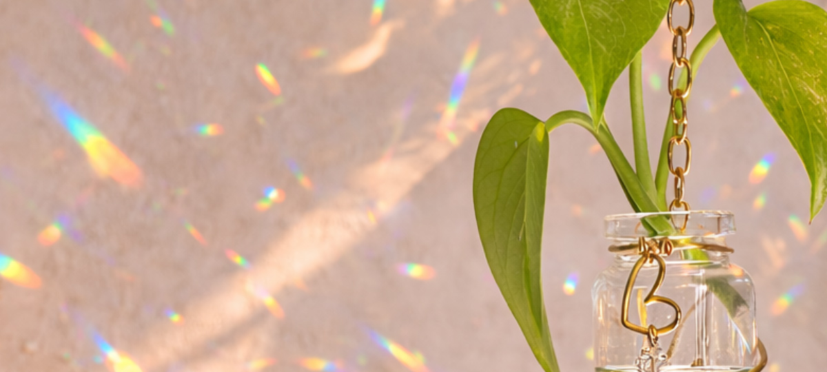 Plant propagator with crystal suncatcher by Crazy Bohemians